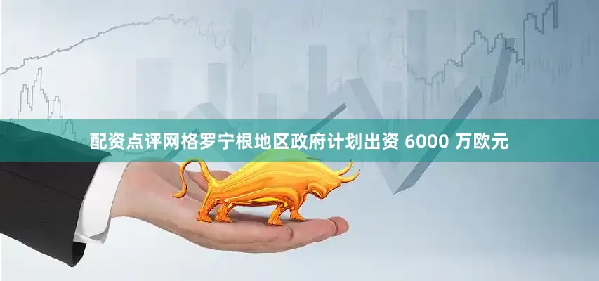 配资点评网格罗宁根地区政府计划出资 6000 万欧元