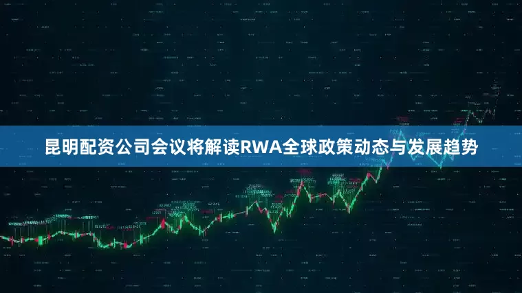 昆明配资公司会议将解读RWA全球政策动态与发展趋势