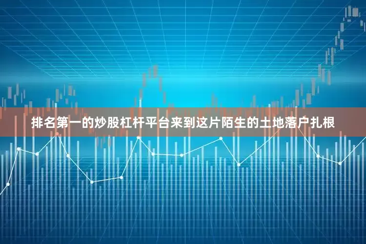 排名第一的炒股杠杆平台来到这片陌生的土地落户扎根