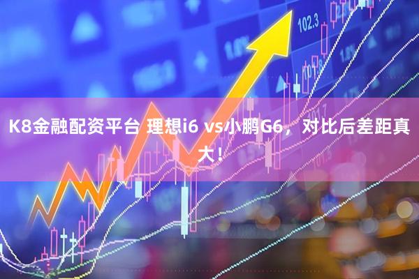 K8金融配资平台 理想i6 vs小鹏G6，对比后差距真大！