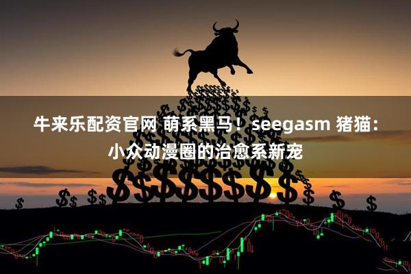牛来乐配资官网 萌系黑马！seegasm 猪猫：小众动漫圈的治愈系新宠