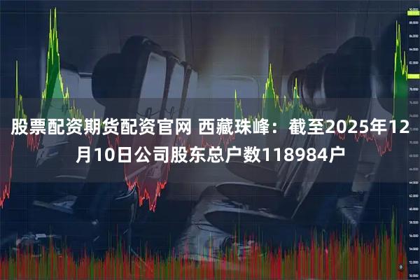 股票配资期货配资官网 西藏珠峰：截至2025年12月10日公司股东总户数118984户